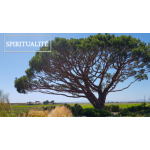Spiritualité